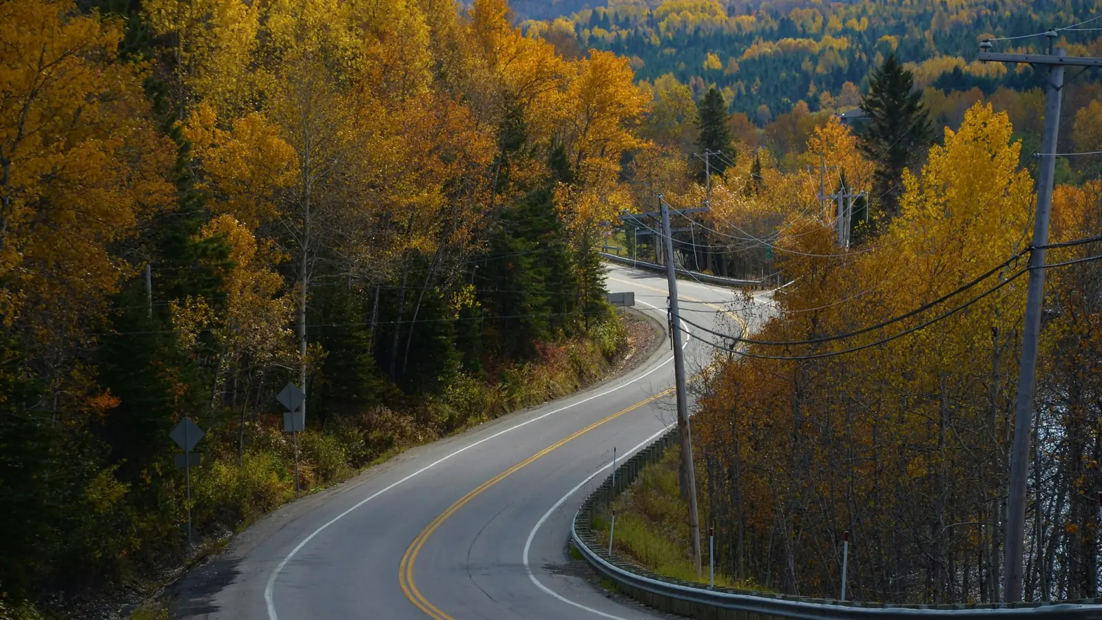 Winding asphalt road between trees in fall colours, with power poles along the side, in Canada